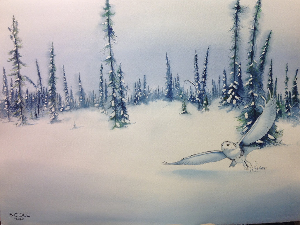 Great Snowy Owl