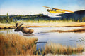 Limited Edition Print "Early Morning Surprise"