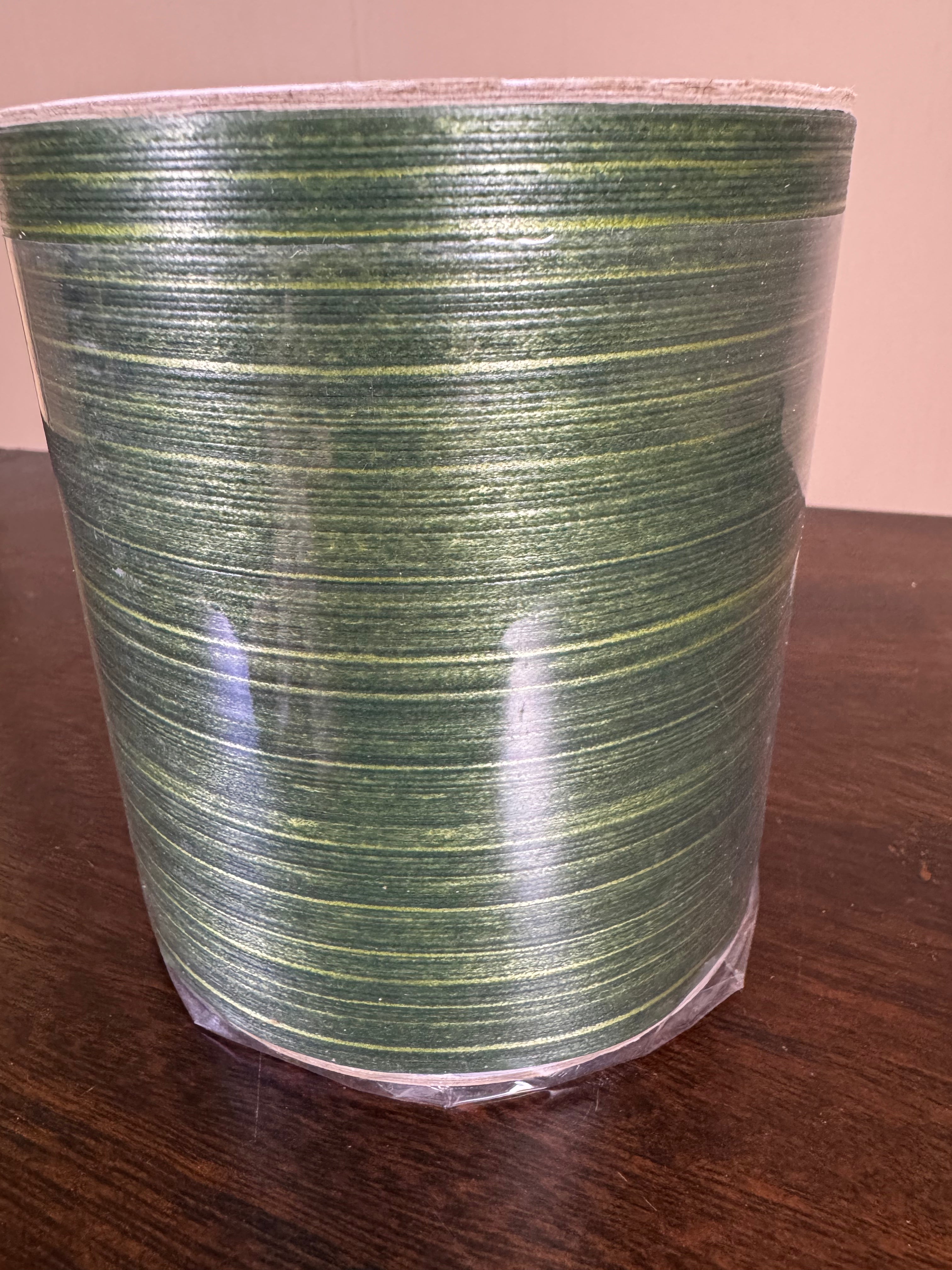 Aspidistra Leaf Ribbon