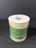 Aspidistra Ribbon