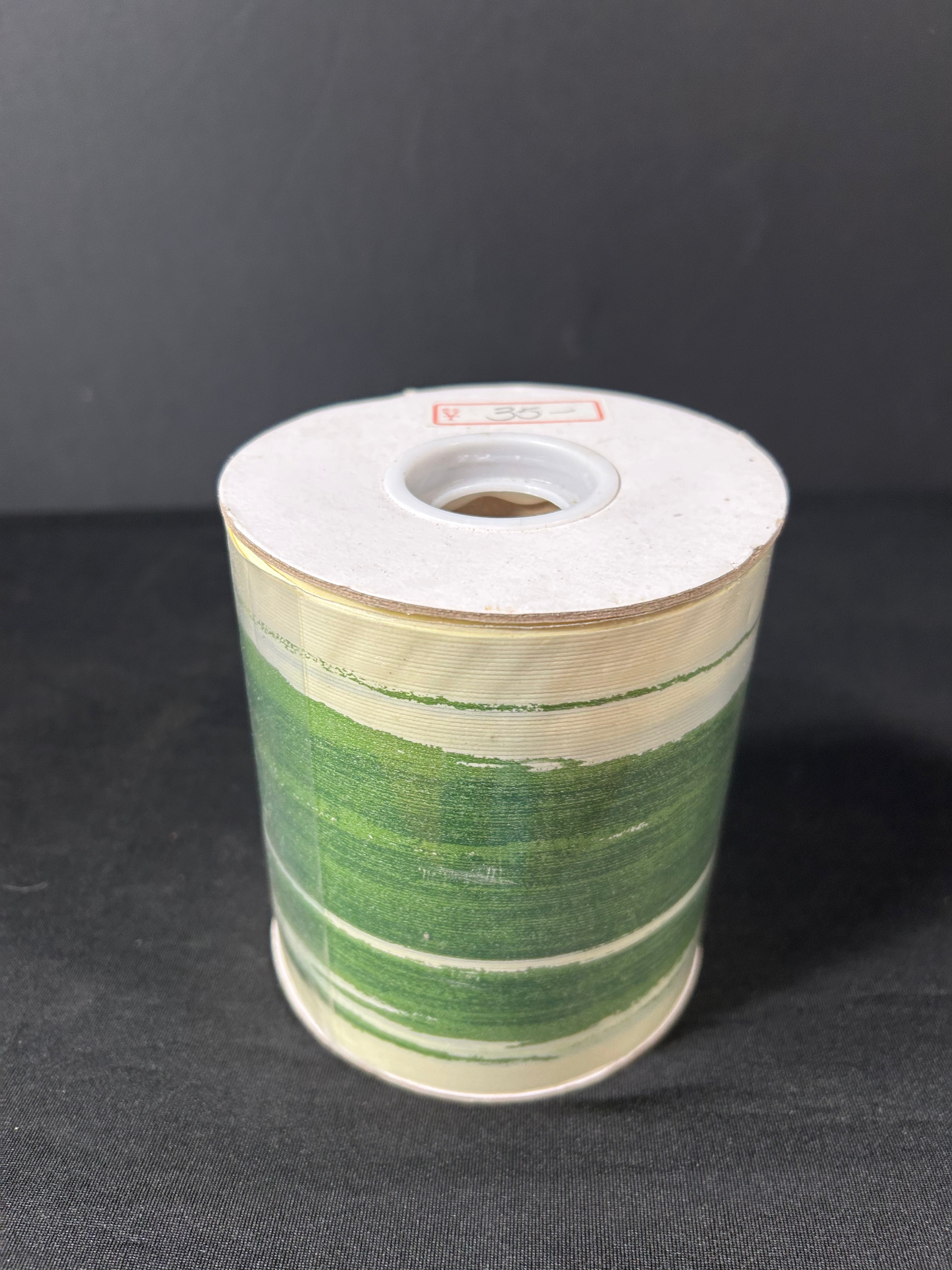 Aspidistra Ribbon